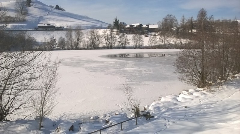 Wilersee halbzugefroren