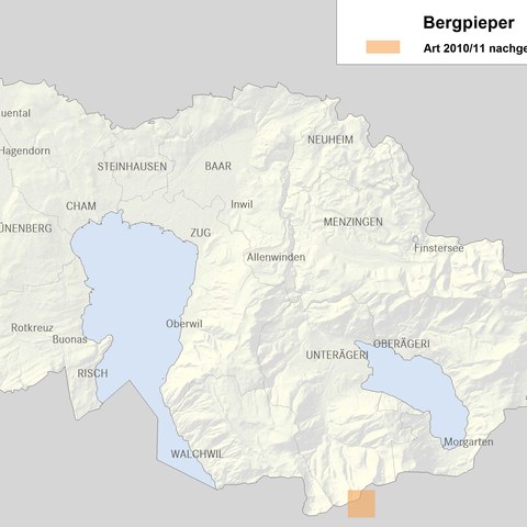 Verbreitungskarte Bergpieper