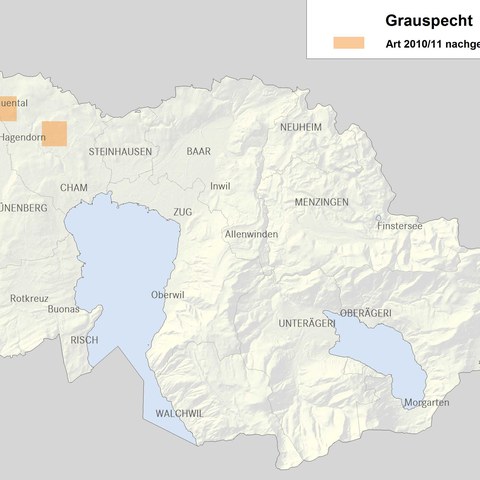 Verbreitungskarte Grauspecht