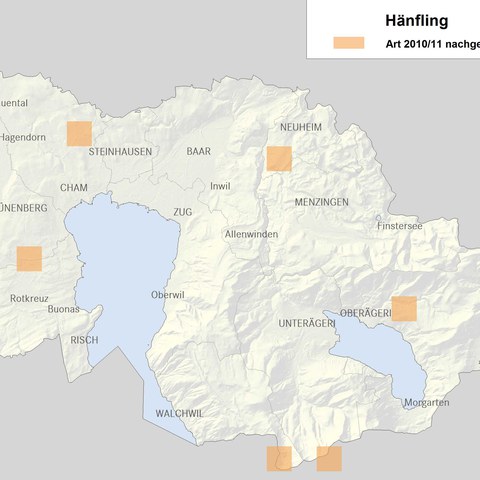 Verbreitungskarte Hänfling