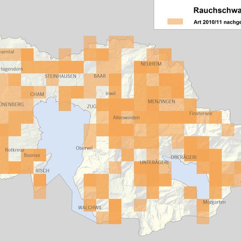 Verbreitungskarte Rauchschwalbe