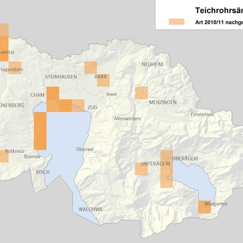 Verbreitungskarte Teichrohrsänger