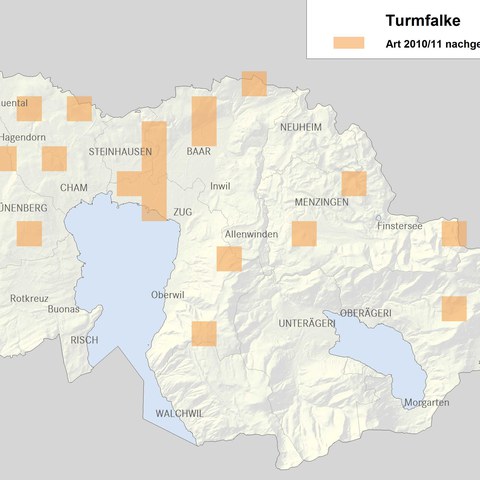 Verbreitungskarte Turmfalke