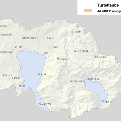 Verbreitungskarte Turteltaube