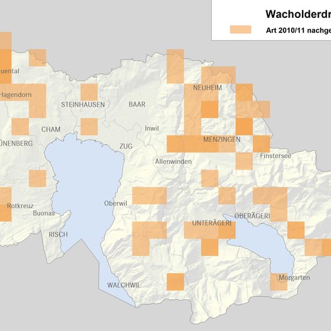 Verbreitungskarte Wacholderdrossel