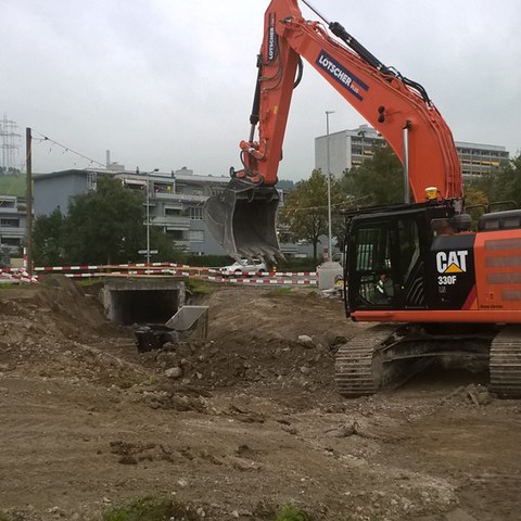 WP_20160927_08_12_53_Pro.jpg