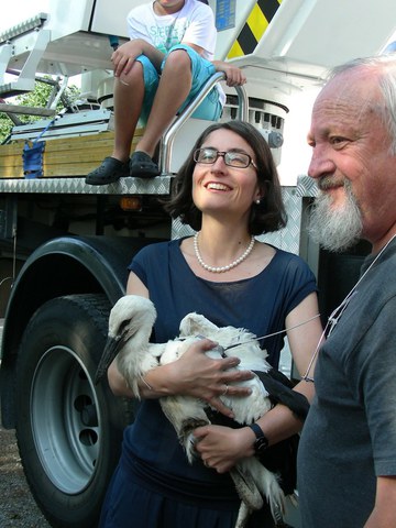 Foto 1: Regierungsrätin Weichelt mit Storch "Manuela" und Peter Enggist, Geschäftsführer der Gesellschaft Storch Schweiz Foto 1: Regierungsrätin Weichelt mit Storch "Manuela" und Peter Enggist, Geschäftsführer der Gesellschaft Storch Schweiz