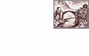 Logo IVS