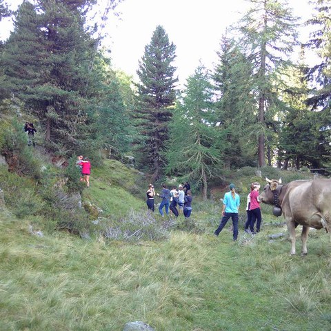 Alpenexkursion 2017