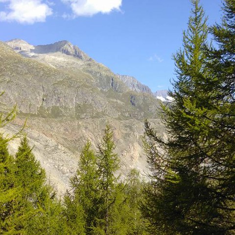 Alpenexkursion 2017