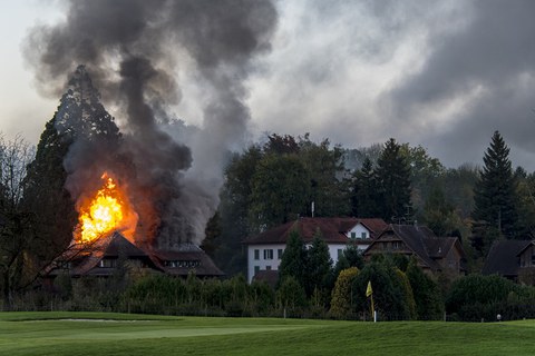 DSC_4223 DSC_4223