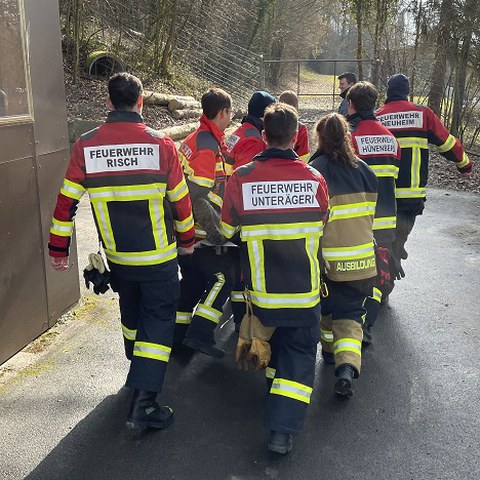 Bild 10