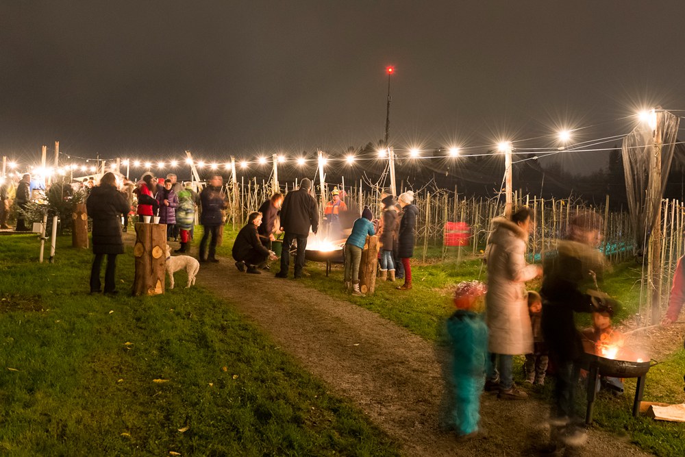 Lichterweg