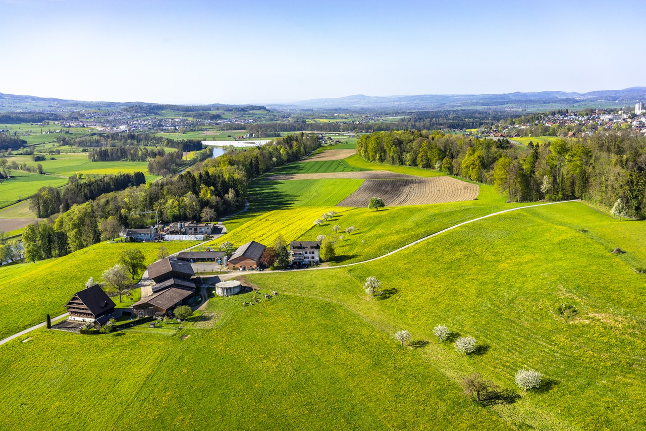 Meisterswil