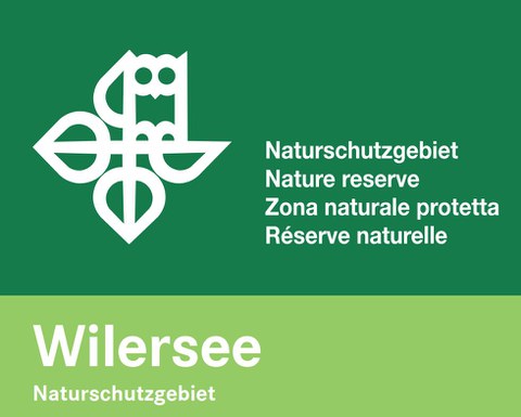Wilerseeinfo