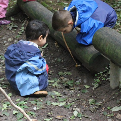 Spielen im Wald 4