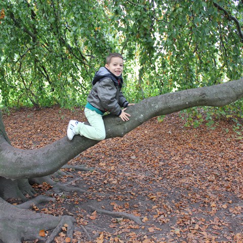 Spielen im Wald 5
