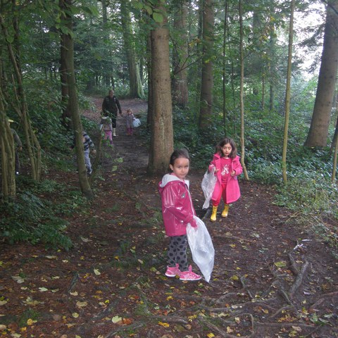 Sammeln im Wald.JPG