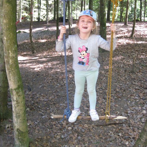 Waldschaukel