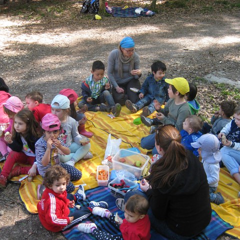 Zvieri im Wald