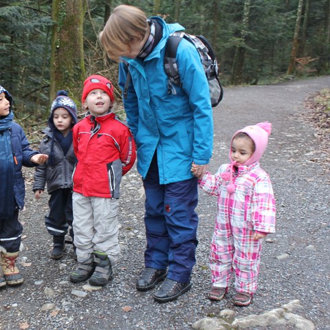 Im Wald.JPG