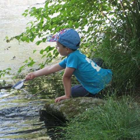 Am Bach.JPG