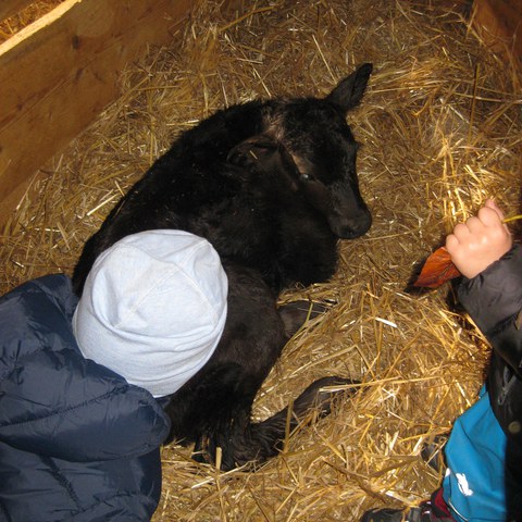 Besuch beim Bauernhof.JPG