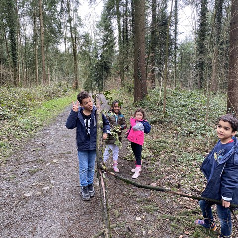 Wald01.jpg