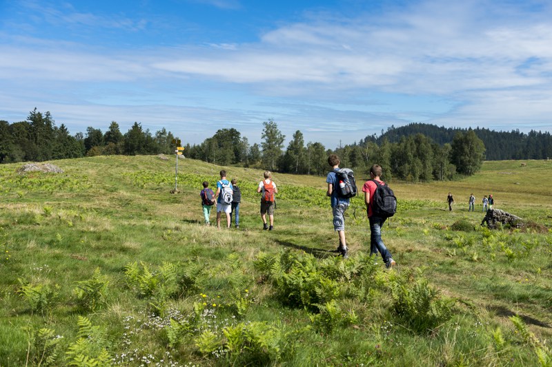 Wanderungen