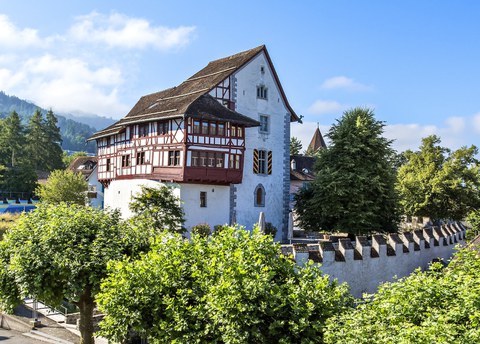 Bild Burg Zug