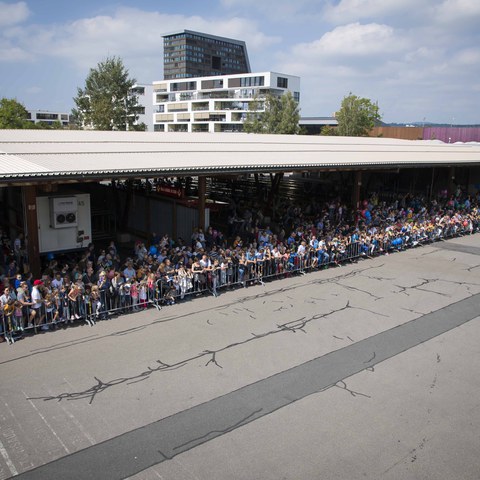 TdoT ZUPO (331 von 461).jpg