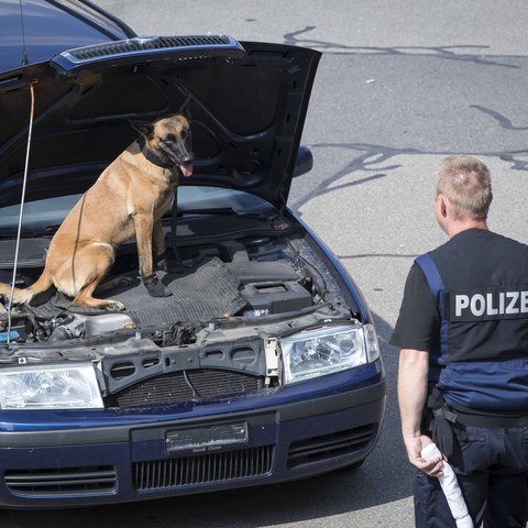 TdoT ZUPO (411 von 461).jpg