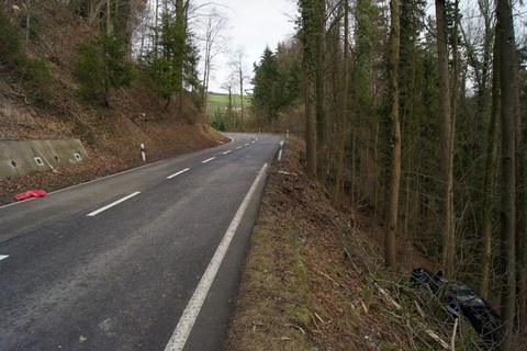 Zug, 2. Februar 2016, 18:55