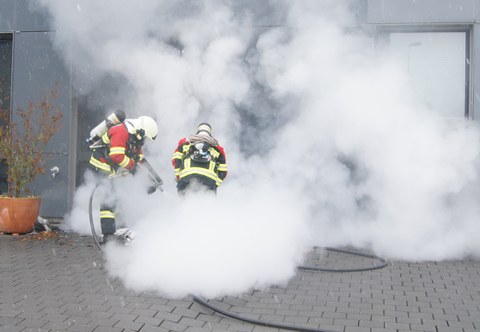 Zug, 25. Februar 2016, 17:35
