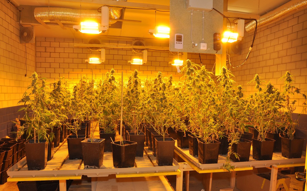 Versteckt in einem Firmengebäude