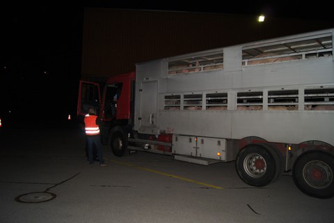 Zug, 10. Mai 2016, 12:27 Uhr