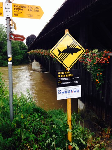 Zug, 24. Juni 2014, 10:30