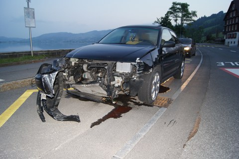 Zug, 6. Juli 2013, 11:58 Uhr