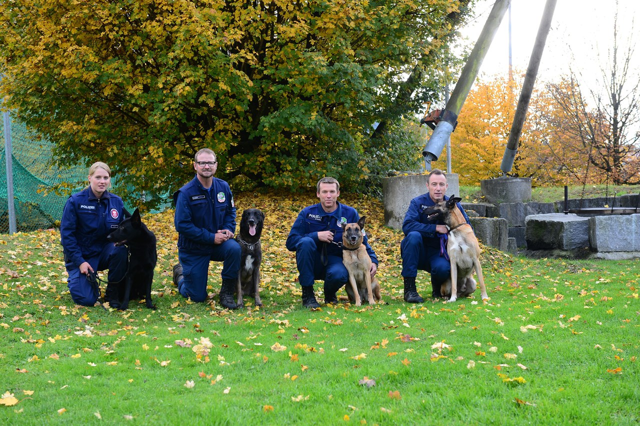 Polizeihundeprüfung 2015