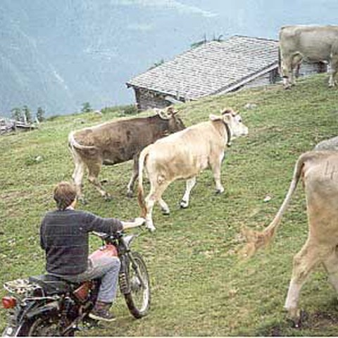 Motorrad auf Alp Richinen (VS)