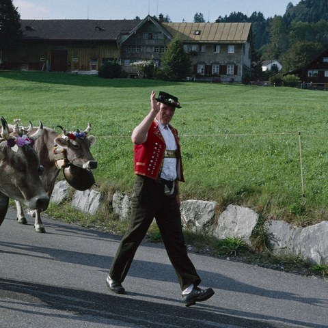 Alpabfahrt (AI)