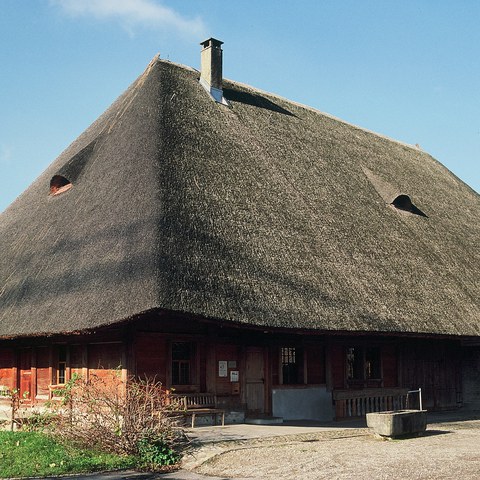 Strohdachhaus von 1801 Kölliken (AG)