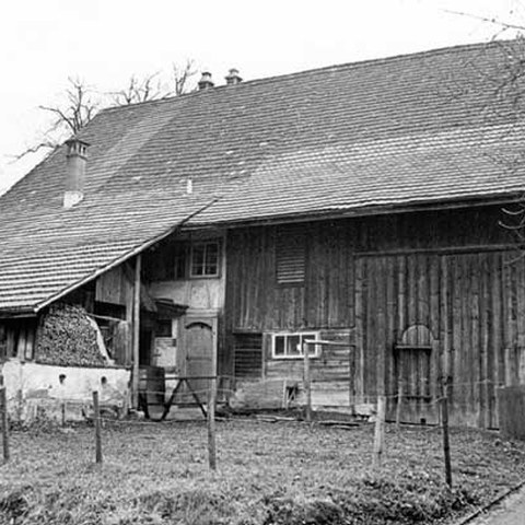 Wetzikon Bühl (ZH)